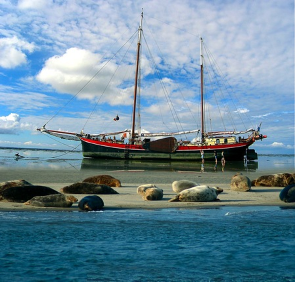 Segeln auf dem Wattenmeer