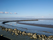 Groninger Wadden fotografie.jpg