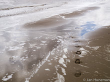 Boschplaat wadden fotografie.jpg